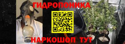 молекула духа Мариинск
