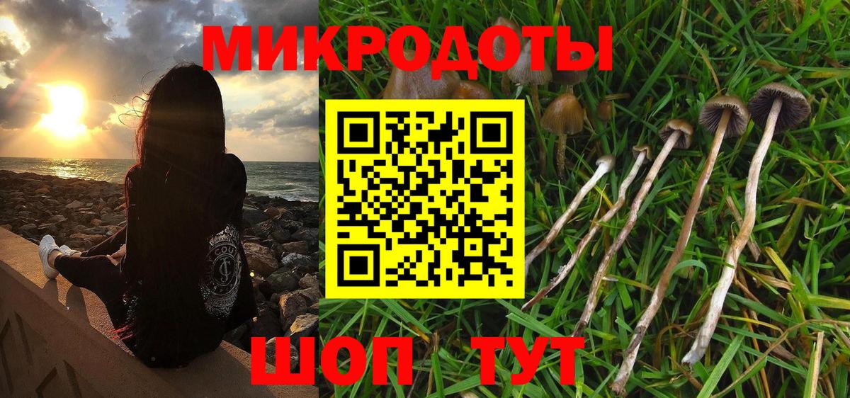 Псилоцибиновые грибы Cubensis  Вход с VPN  Верхняя Пышма 